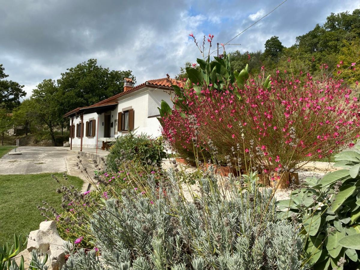 Istrian House In The Heart Of Tupljak - Smilovic Potpican Екстер'єр фото